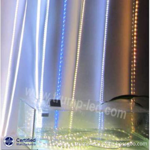 Waterproof LED Strip Boat Lights DC12V/24V IP68